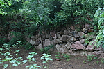 大靖堡