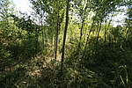 石龙长城1段