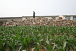 灰山堡城