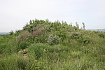 大北沟村东烽火台