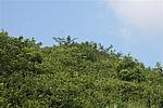 东山烽火台