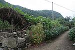 坦甸烽火台
