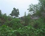 南杨屯土城址