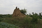 八里铺1号烽火台