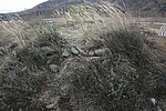 伏胜村西北侧烽火台
